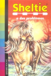 Sheltie A Des Problèmes