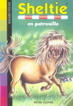 Capa do artigo Sheltie En Patrouille