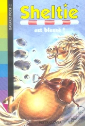 Capa do artigo Sheltie Est Blessé