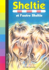 Sheltie Et L'Autre Sheltie