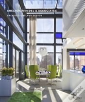 Capa do artigo Shelton, Mindel And Associates