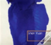 Shen Yuan
