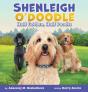 Shenleigh O'Doodle, Half Golden, Half Poodle - Preview