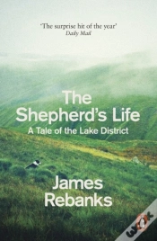 Capa do artigo Shepherd