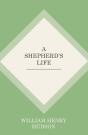 Shepherd'S Life - Preview