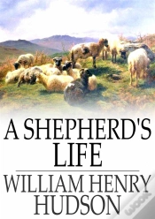 Capa do artigo Shepherd