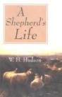 Shepherd'S Life - Preview