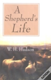 Capa do artigo Shepherd