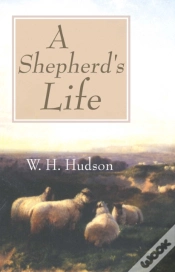 Capa do artigo Shepherd