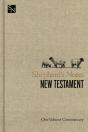 Shepherd'S Notes On The New Testament - Preview