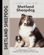 Shetland Sheepdog - Preview