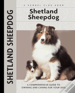Capa do artigo Shetland Sheepdog