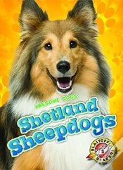 Capa do artigo Shetland Sheepdogs