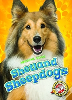 Capa do artigo Shetland Sheepdogs