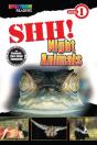 Shh! Night Animals - Preview