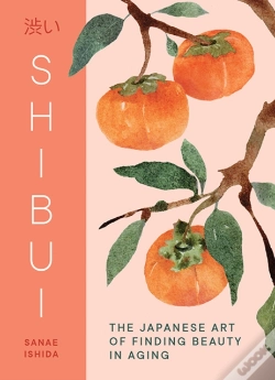 Capa do artigo Shibui