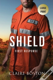 Capa do artigo Shield