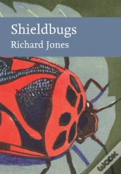 Capa do artigo Shieldbugs