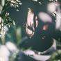 Shift - Vinil - Preview