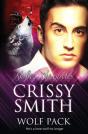 Shifter Chronicles - Preview