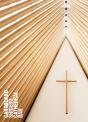 Shigeru Ban - Preview