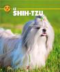 Shih-Tzu (Le) - Preview