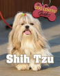 Shih Tzu - Preview