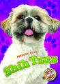 Shih Tzus - Preview