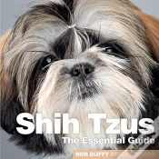 Capa do artigo Shih Tzus