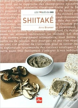 Capa do artigo Shiitake