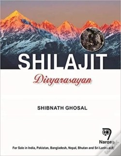 Capa do artigo Shilajit Divyarasayan