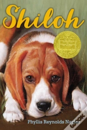 Capa do artigo Shiloh