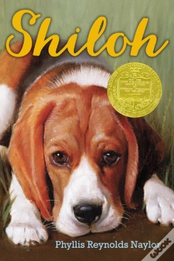Capa do artigo Shiloh