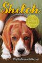 Shiloh - Preview