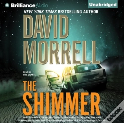 Capa do artigo Shimmer