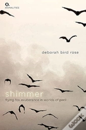 Shimmer