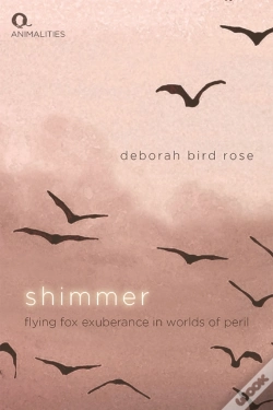 Capa do artigo Shimmer