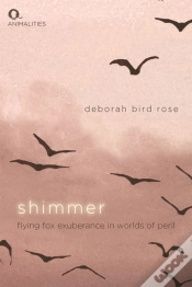 Capa do artigo Shimmer