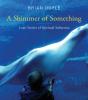 Shimmer Of Something - Preview