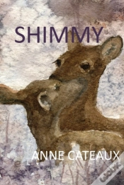 Capa do artigo Shimmy