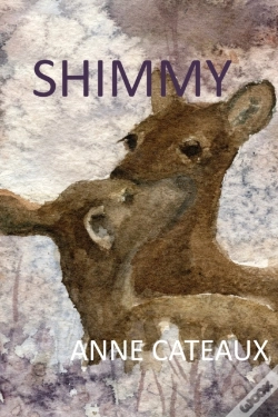 Capa do artigo Shimmy