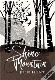 Capa do artigo Shine Mountain