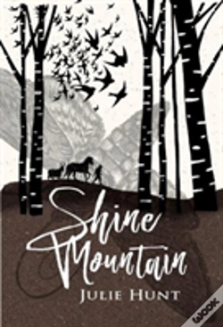Capa do artigo Shine Mountain