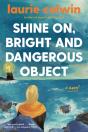 Shine On, Bright And Dangerous Object - Preview