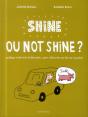 Shiner Or Not Shiner - Preview