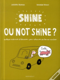 Capa do artigo Shiner Or Not Shiner