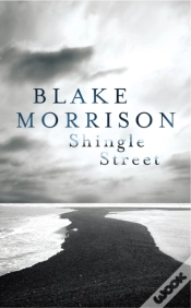 Capa do artigo Shingle Street
