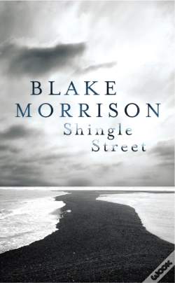 Capa do artigo Shingle Street