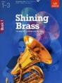 Shining Brass, Book 1 - Preview