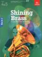 Shining Brass, Book 2 - Preview
